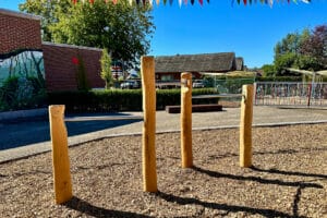 Robinia duikelrek op school VPRB1265