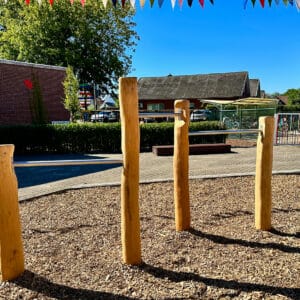 Robinia duikelrek op school VPRB1265