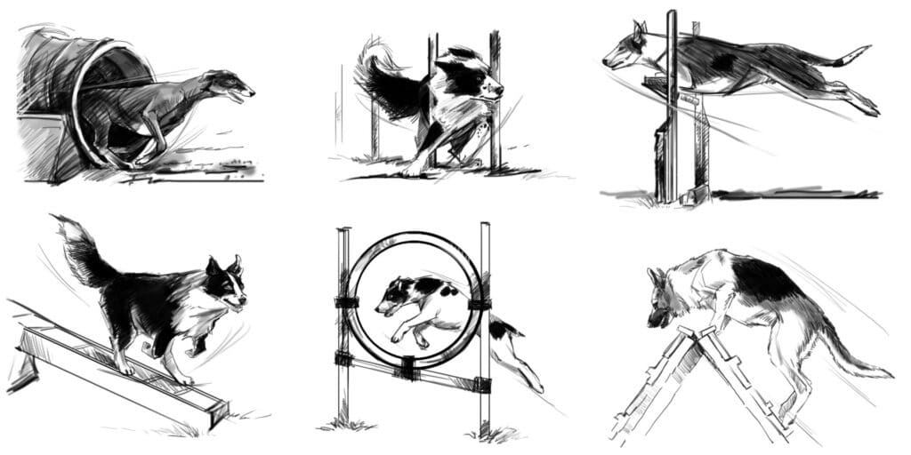 Honden agility schetsen