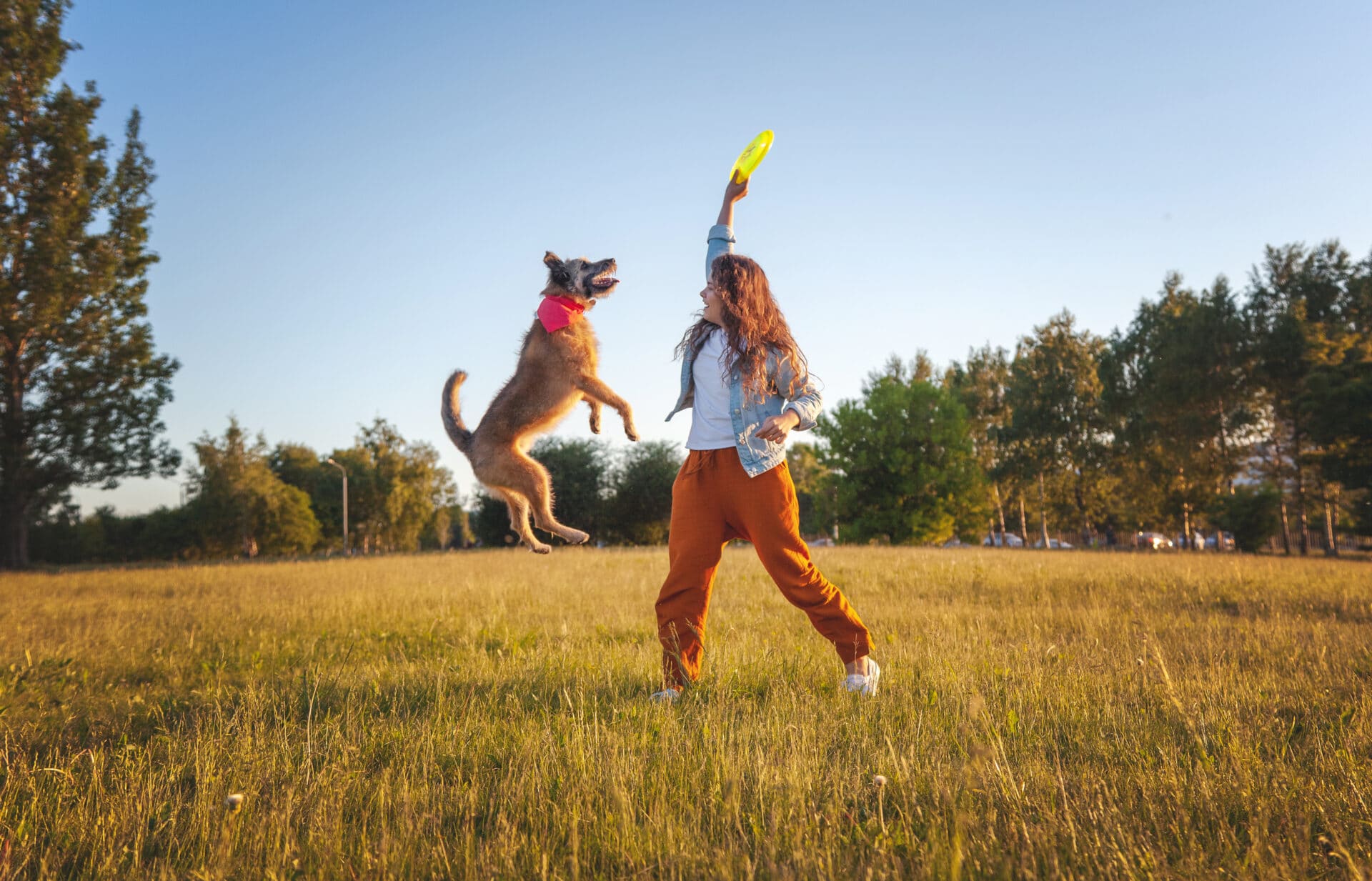 Spelende hond met baasje