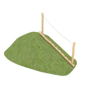 Robinia hellingklimmer met touw