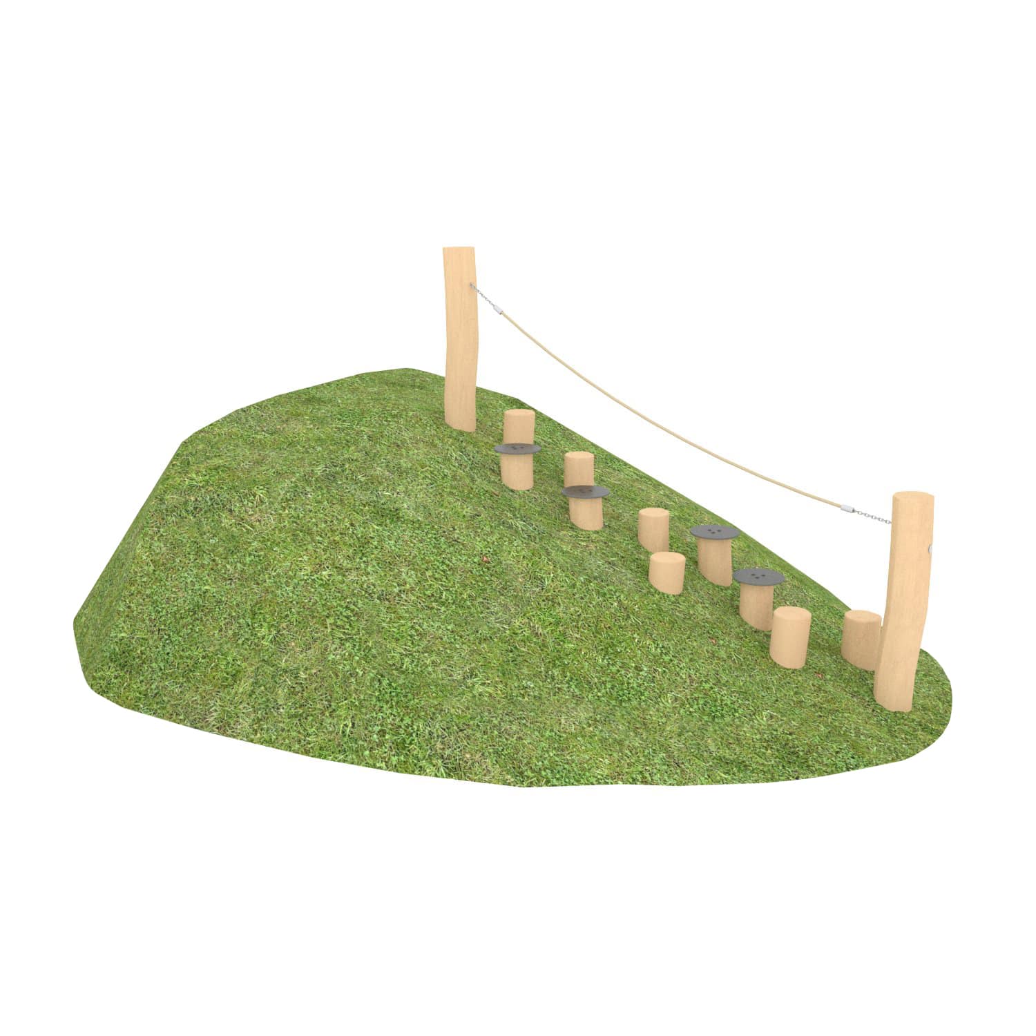 Robinia helling stappaaltjes met touw