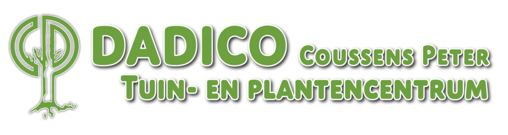 Logo dadico
